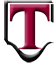tessware.in favicon